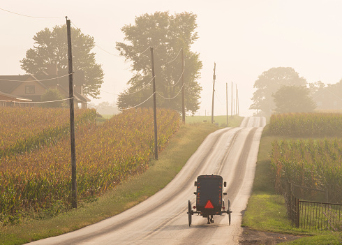 Ronks, United States – July 23, 2023: A rear view of an Amish couple in an open horse and buggy on a rural road