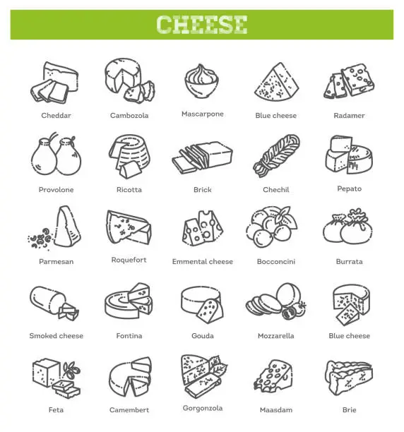 Vector illustration of Cheese collection. Vector illustration of cheese types