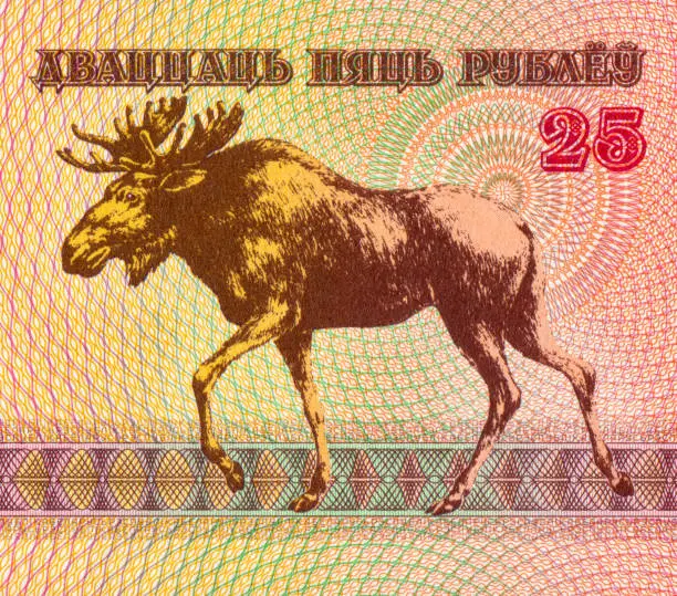 Photo of Moose Pattern Design on Belarusian Banknotes