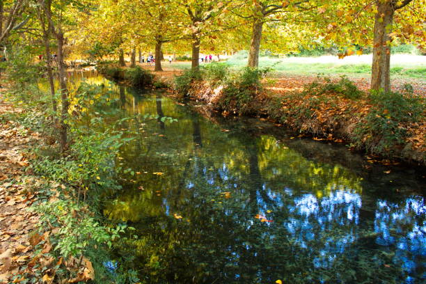 tranquila corriente de agua que discurre por el entorno de las fuentes del marqués en murcia - autumn water leaf stream fotografías e imágenes de stock
