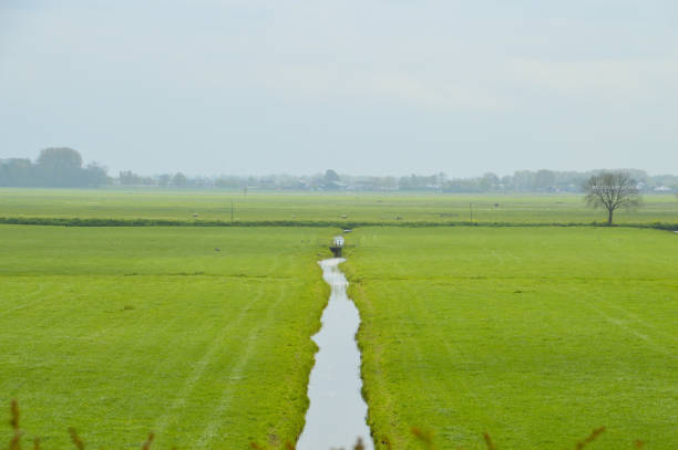Dutch Farmland Around Weesp Netherlands 24-4-2017