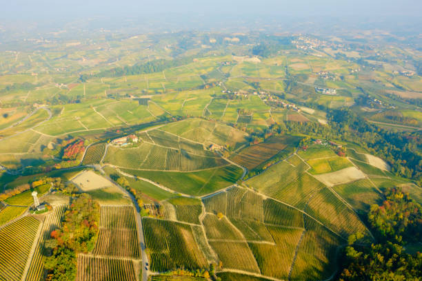 istock Langhe vineyards, fall season, aerial view. Color image. 1351268569