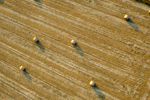 hay bales lying in a harvested wheat field, during fall season, shooted from an aerostatics balloon.