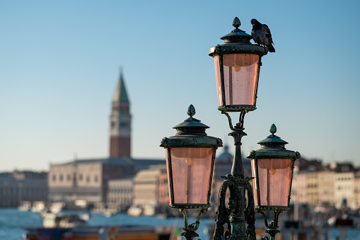 Lanterns in front of doge palace and Campanile in Venice (Italy)