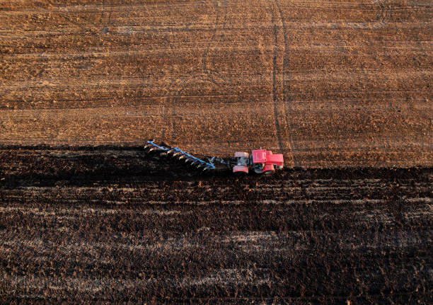 istock Tractor with Plough on Plowed. Ploughing and Soil Tillage. 1351275106