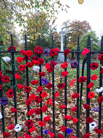 Homemade knitted poppies attached to an iron fence outdoors in nature for Remembrance Sunday. It is a symbol of remembrance for the fallen soldiers during World War One.