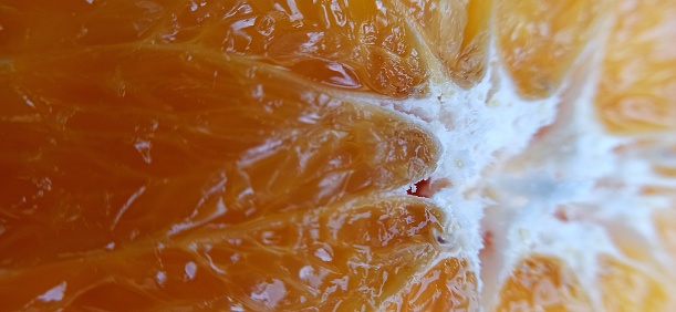 Orange slice with a white center. Citrus fruit slice fibers. Sliced piece of tangerine close-up.