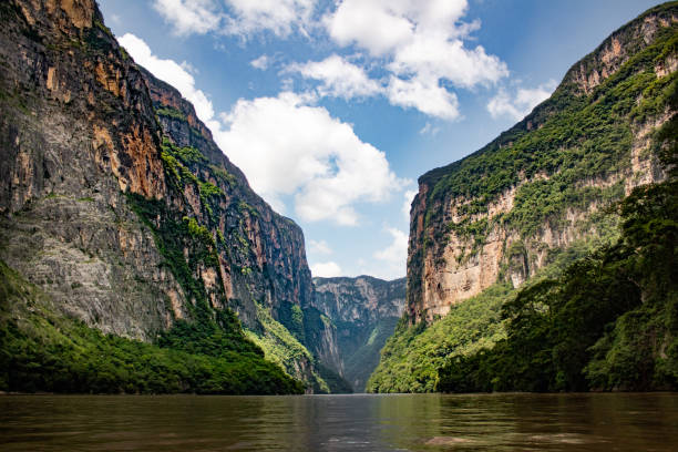 Chiapas - Banco de fotos e imágenes de stock - iStock Chiapas - Banco de fotos e imágenes de stock - iStock