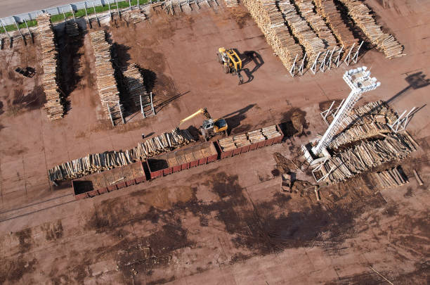istock Excavator with log grab crane unloads timber from freight car. 1351280360
