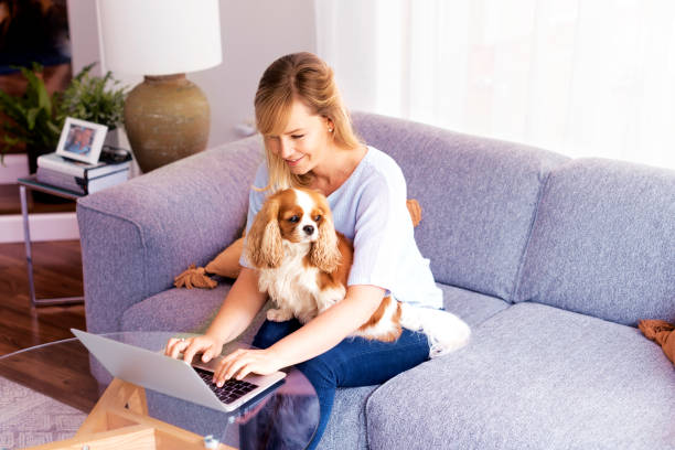 istock Middle aged businesswoman sitting on the sofa and using her laptop 1351280567