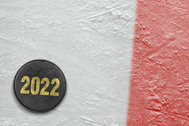 istock Ice hockey puck with red line 1351280957