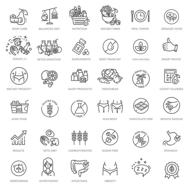 web set of nutrition, healthy food and detox diet vector thin line icons - high in fiber stock illustrations