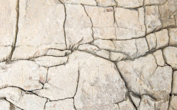 istock Pattern of cracked rock at coastline beach made from limestone type rock 1351284099