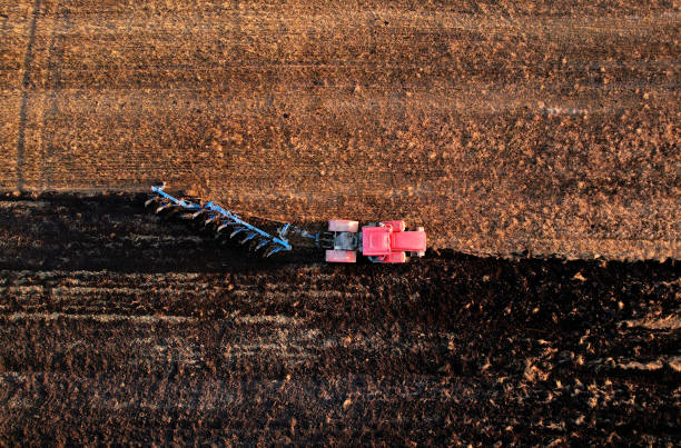 istock Tractor with Plough on Plowed. Ploughing and Soil Tillage. 1351286437