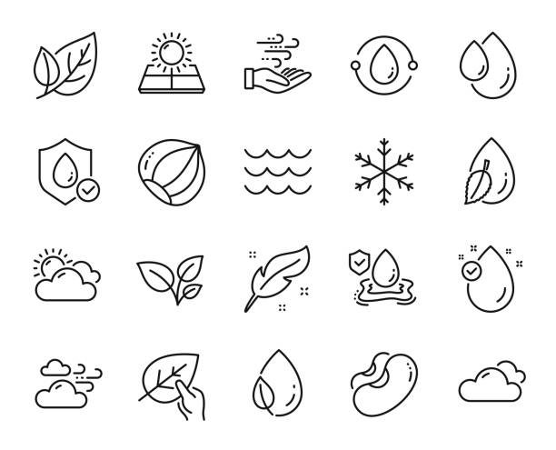 Vector set of Hazelnut, Snowflake and Cloudy weather line icons set. Vector Vector set of Hazelnut, Snowflake and Cloudy weather line icons set. Beans, Leaves and Cold-pressed oil icons. Wind energy, Waves and Flood insurance signs. Leaf, Vitamin e and Leaf dew. Vector air quality stock illustrations