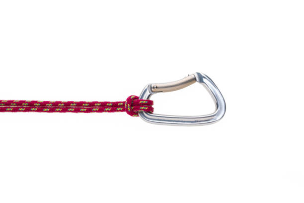istock Carabiner with rope isolated against white background. 1351290884