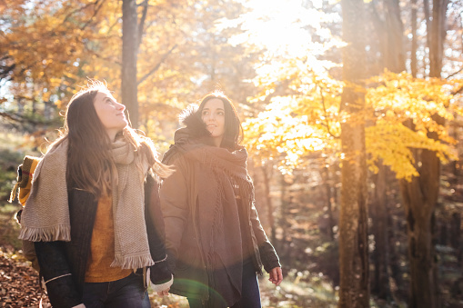 Couple of young women walking in the autumn forest