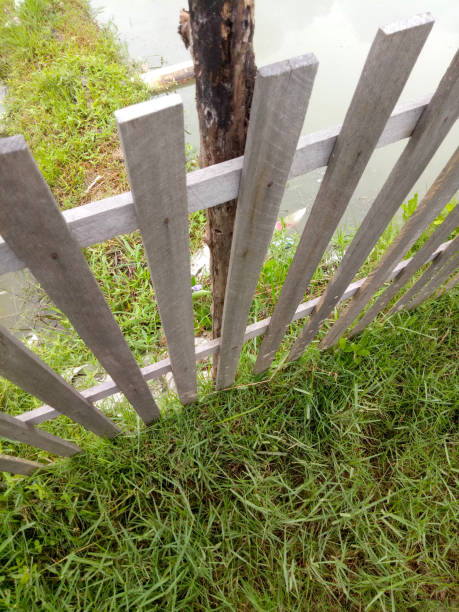 istock wooden fence and green grass 1351292470
