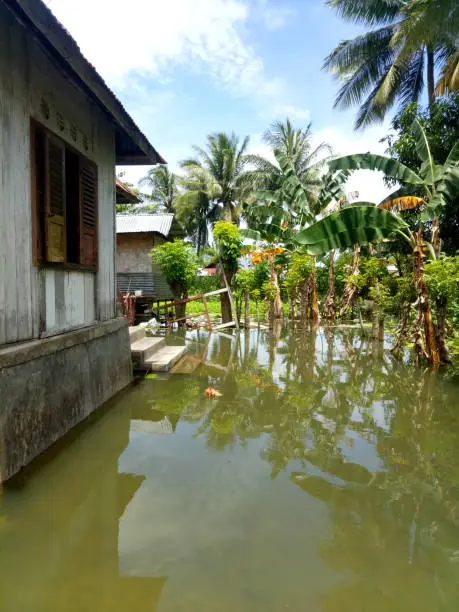 Photo of courtyards and gardens that were submerged in water due to overnight flooding.