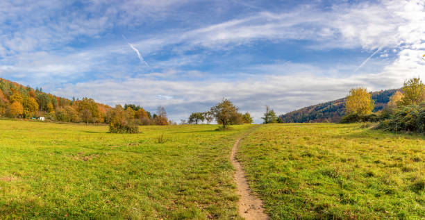 istock orchard meadow in late year sunlight 1351292665