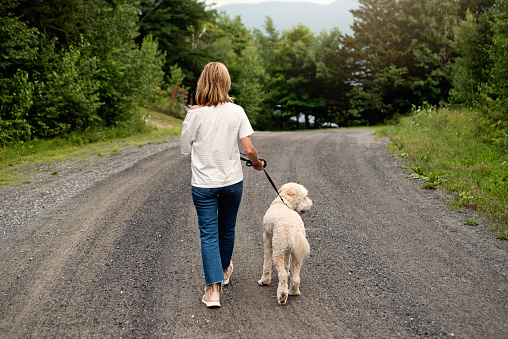 Mature woman walking her dog on country road in summer. Dog is a female goldendoodle. Woman is wearing t-shirt and jeans. Horizontal outdoors full length shot with copy space. No face.
