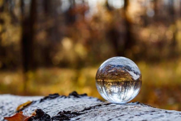 vue d’automne inversée dans une boule de cristal. sur un bouleau tombé se trouve une boule de cristal avec un reflet de la forêt d’automne. gros plan. vue latérale. - plan subjectif photos et images de collection