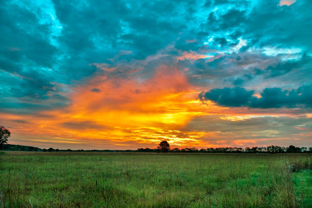 sunrise over the grassy plains