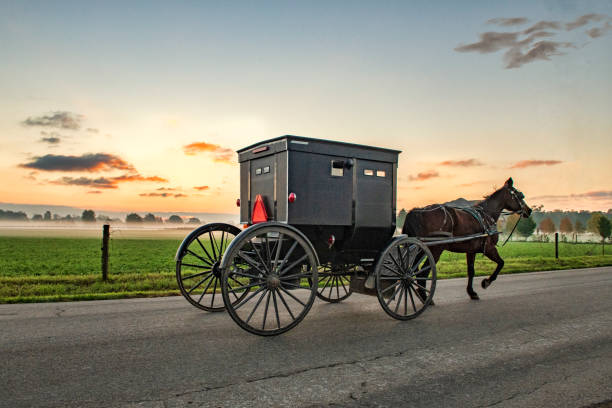istock Amish Buggy on Rural Indiana Road 1351299238