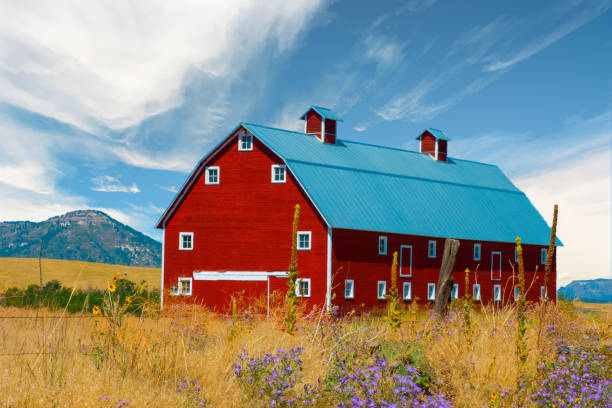 istock Red Barn outside Colorado Springs Colorado 1351299277
