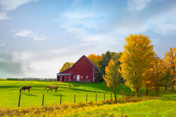 istock Red Barn-Horses and fall colors-Traverse City, Michigan 1351299306