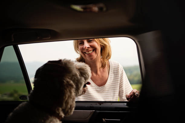 istock Mature woman getting in the car with her dog. 1351299330