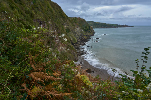 istock View of a Cove 1351300369