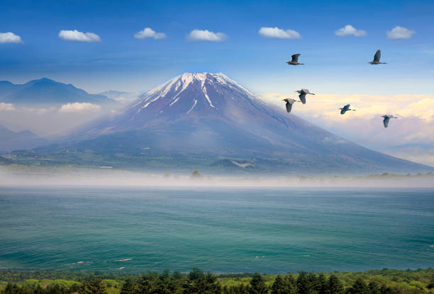 istock Flying bird with snow covered mountain Fuji 1351300409