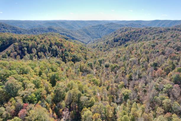istock Aerial autumn view Appalachian Mountains 1351302914