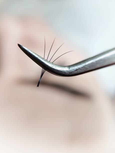 Bunch of fake lashes in tweezers for eyelash extensions Bunch of fake lashes in tweezers for eyelash extensions . High quality photo clump eyelashes stock pictures, royalty-free photos & images
