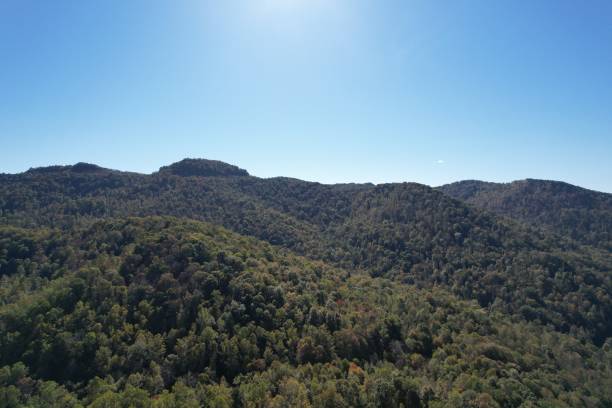 istock Blue sky over Appalachian autumn 1351305286