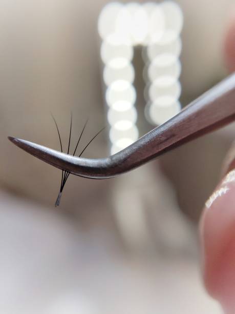 Bunch of fake lashes in tweezers for eyelash extensions Bunch of fake lashes in tweezers for eyelash extensions . High quality photo clump eyelashes stock pictures, royalty-free photos & images