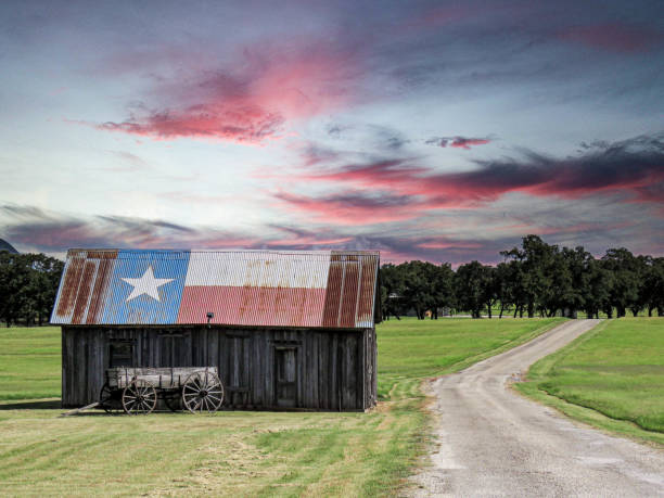 Texas Flag on Barn Roof at Sunset, USA Barn with a Texas flag painted on the tin roof and a buckboard wagon beside a rural road at sunset. Copy Space. christine kohler stock pictures, royalty-free photos & images