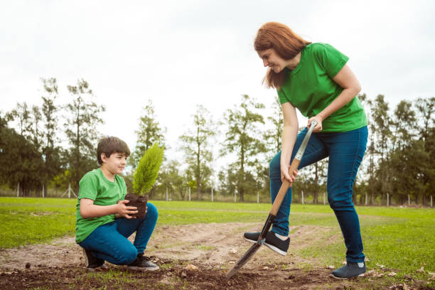 310+ Community Service Planting Trees Stock Photos, Pictures & Royalty ...