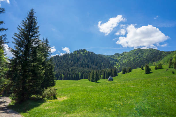 istock Kalatowki Glade in June. Western Tatra Mountains. 1351315039