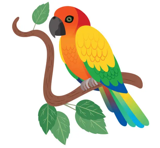 Vector illustration of Sun Conure