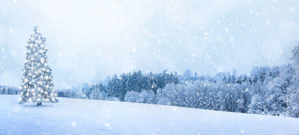 istock Decorated Christmas tree in a winter landscape 1351316439