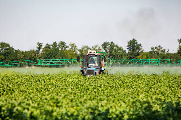 istock Tractor fertilizing soya field 1351316446