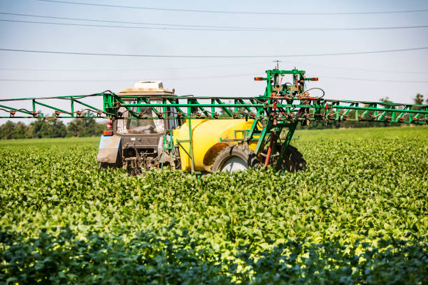 istock Tractor fertilizing soya field 1351316463