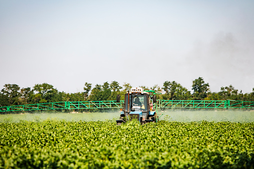 Tractor fertilizing soya field