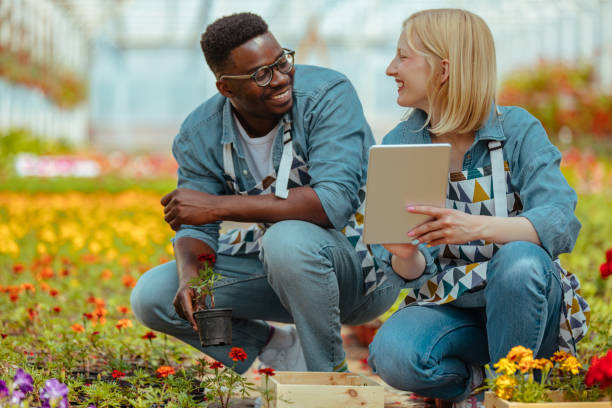 istock Greenhouse flower shop employees at work 1351316603