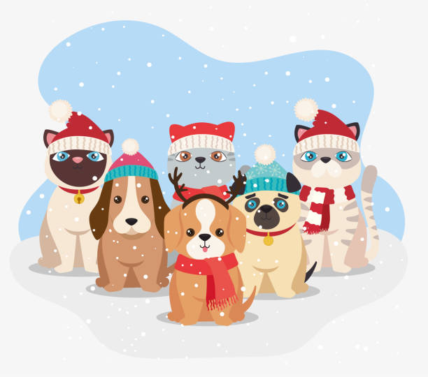 cute six christmas pets cute six christmas pets characters cat in santa hat stock illustrations
