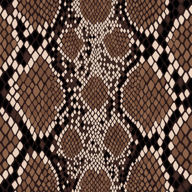 бесшовный рисунок змеиной кожи. вектор экзотической текстуры африканского животного. - snake cobra vector animal stock illustrations