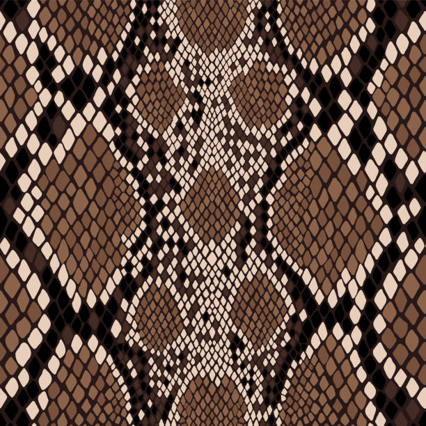 Seamless snake skin pattern. Vector exotic african animal texture. Seamless snake skin pattern. Exotic african animal texture. Vector illustration. desert snake stock illustrations