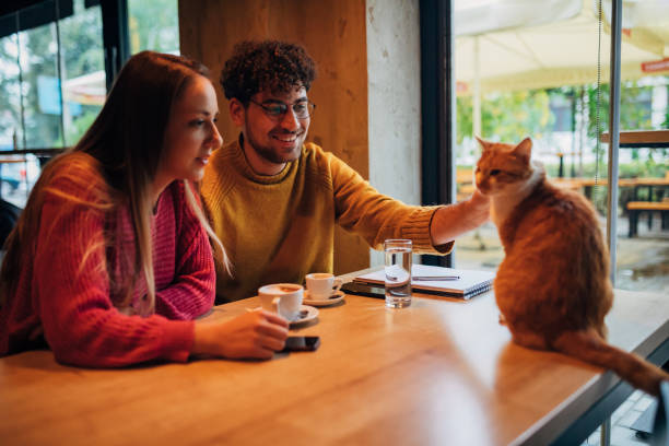 una joven pareja amorosa toma café en una cafetería y acaricia a un gato que se ha subido a su mesa - domestic cat city life animal pets fotografías e imágenes de stock
